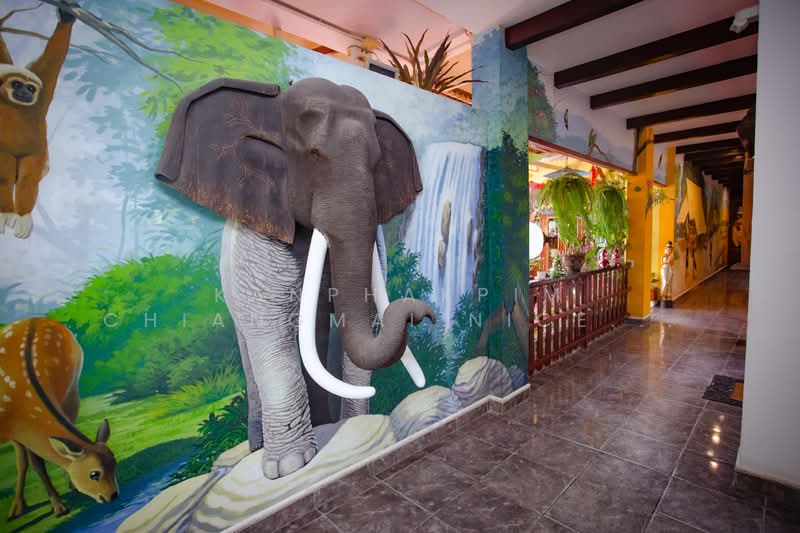 Hotel business for sale with good location, Chiang Mai, Wat Khet, Muang Chiang Mai, Chiang Mai, , 2,000 sqm, Business For Sale, by Kanphakpim Chiangmai Nice Home, 500168830 - DDproperty.com