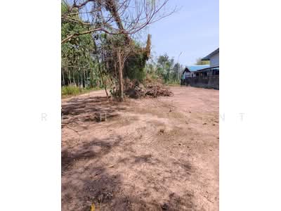 ขาย - ขายที่ดินโพธิ์งาม 200 ตรว. ติดถนนสุวรรณศร3649สายเก่า อ.ประจันตคาม, ปราจีนบุรี