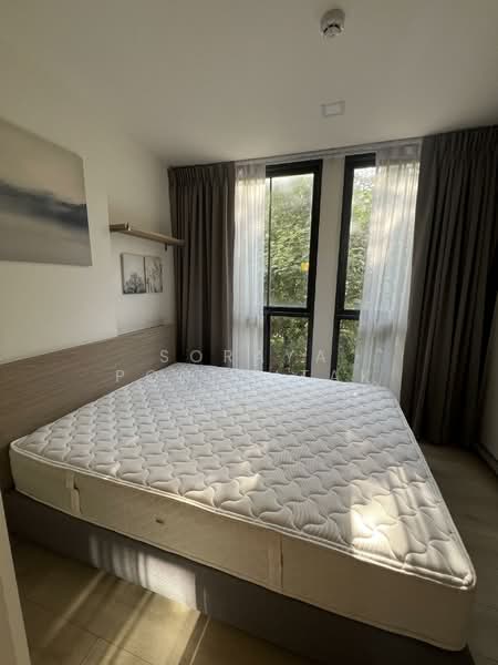 Chambers On-Nut Station, Bangkok, Soi Sukhumvit 81, Sukhumvit Road, Phra Kanong Nua, Watthana, Bangkok, 1 Bedroom, 29 sqm, Condo For Rent, by Soraya Pongpitak, 500168856 - DDproperty.com