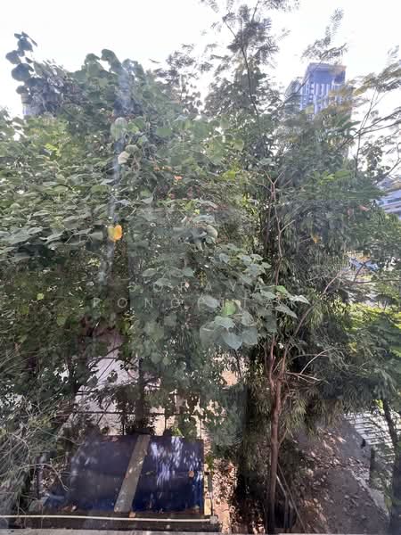 Chambers On-Nut Station, Bangkok, Soi Sukhumvit 81, Sukhumvit Road, Phra Kanong Nua, Watthana, Bangkok, 1 Bedroom, 29 sqm, Condo For Rent, by Soraya Pongpitak, 500168856 - DDproperty.com