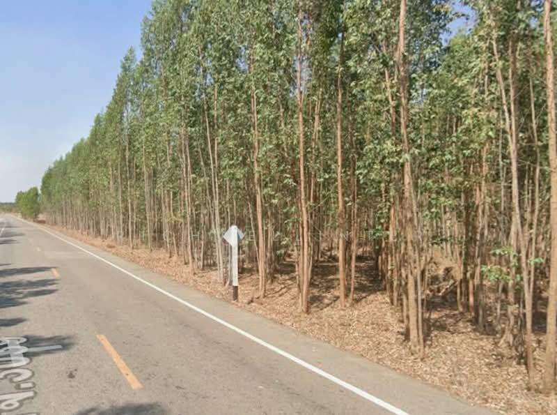 Land for sale in Hua Wa Muang, 17 rai, adjacent to Road 3039, behind Rojana Industrial Park,, Prachin Buri, Hua Wa, Sri Maha Pho, Prachin Buri, , 28,240 sqm, Land For Sale, by richwellinter, 500168900 - DDproperty.com