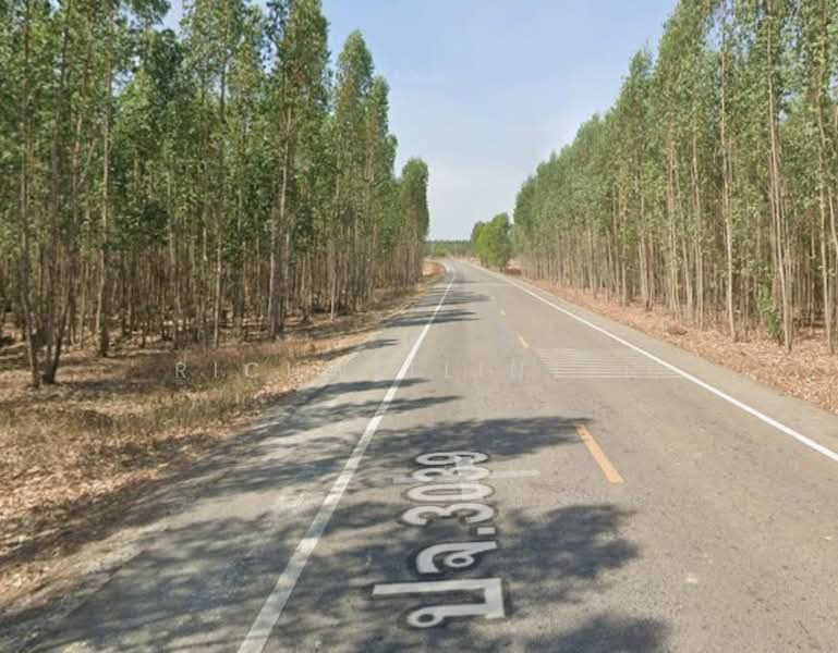 Land for sale in Hua Wa Muang, 17 rai, adjacent to Road 3039, behind Rojana Industrial Park,, Prachin Buri, Hua Wa, Sri Maha Pho, Prachin Buri, , 28,240 sqm, Land For Sale, by richwellinter, 500168900 - DDproperty.com