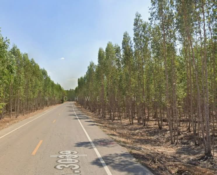 Land for sale in Hua Wa Muang, 17 rai, adjacent to Road 3039, behind Rojana Industrial Park,, Prachin Buri, Hua Wa, Sri Maha Pho, Prachin Buri, , 28,240 sqm, Land For Sale, by richwellinter, 500168900 - DDproperty.com