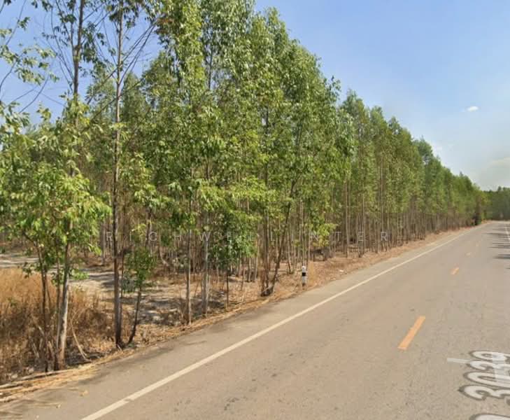 Land for sale in Hua Wa Muang, 17 rai, adjacent to Road 3039, behind Rojana Industrial Park,, Prachin Buri, Hua Wa, Sri Maha Pho, Prachin Buri, , 28,240 sqm, Land For Sale, by richwellinter, 500168900 - DDproperty.com