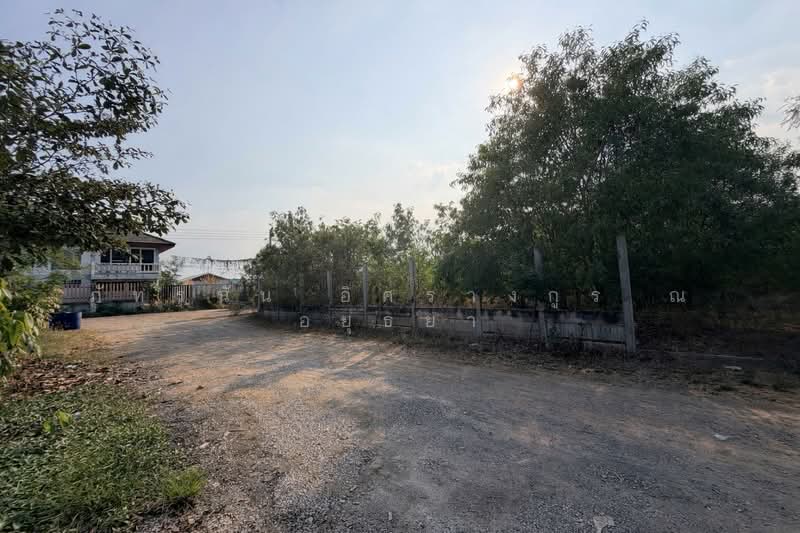 ที่ดินเปล่า ซอยคลองห้าตะวันตก 34 ถนนกาญจนาภิเษก ต.คลองห้า อ.คลองหลวง จ.ปทูมธานี, ปทุมธานี, รังสิต นครนายก เลียบคลองห้า, คลองห้า, คลองหลวง, ปทุมธานี, 1,660 ตร.ม., ที่ดิน ขาย, โดย ภัทรนัน อิศรางกูร ณ อยุธยา, 500168904 - DDproperty.com