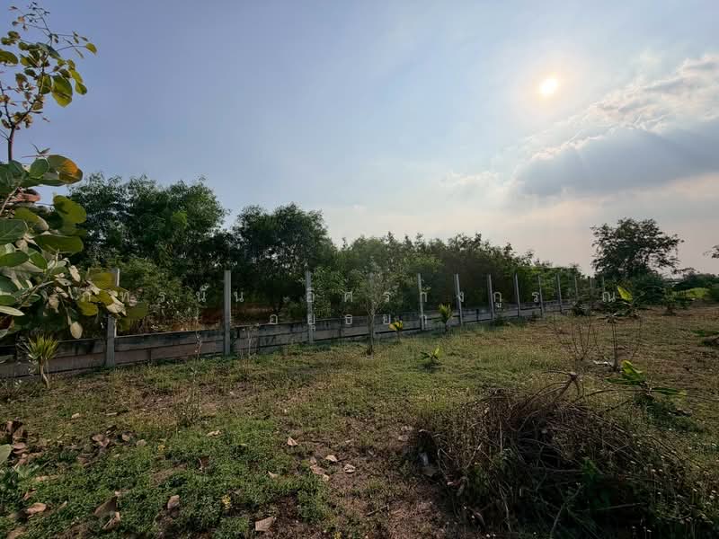 ที่ดินเปล่า ซอยคลองห้าตะวันตก 34 ถนนกาญจนาภิเษก ต.คลองห้า อ.คลองหลวง จ.ปทูมธานี, ปทุมธานี, รังสิต นครนายก เลียบคลองห้า, คลองห้า, คลองหลวง, ปทุมธานี, 1,660 ตร.ม., ที่ดิน ขาย, โดย ภัทรนัน อิศรางกูร ณ อยุธยา, 500168904 - DDproperty.com