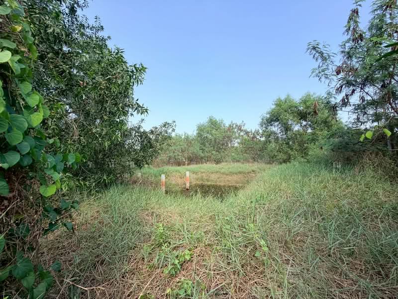 ที่ดินเปล่า ซอยคลองห้าตะวันตก 34 ถนนกาญจนาภิเษก ต.คลองห้า อ.คลองหลวง จ.ปทูมธานี, Pathum Thani, รังสิต นครนายก เลียบคลองห้า, Khlong Ha, Khlong Luang, Pathum Thani, , 1,660 sqm, Land For Sale, by ภัทรนัน อิศรางกูร ณ อยุธยา, 500168904 - DDproperty.com