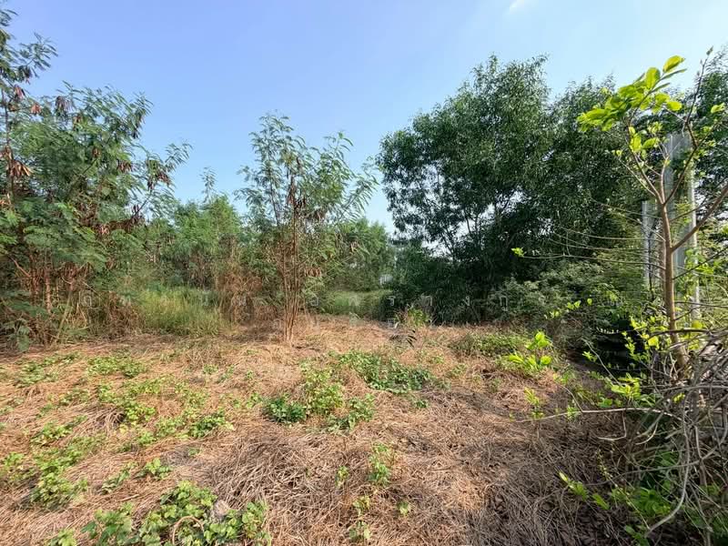 ที่ดินเปล่า ซอยคลองห้าตะวันตก 34 ถนนกาญจนาภิเษก ต.คลองห้า อ.คลองหลวง จ.ปทูมธานี, ปทุมธานี, รังสิต นครนายก เลียบคลองห้า, คลองห้า, คลองหลวง, ปทุมธานี, 1,660 ตร.ม., ที่ดิน ขาย, โดย ภัทรนัน อิศรางกูร ณ อยุธยา, 500168904 - DDproperty.com