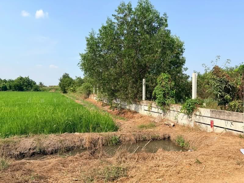 ที่ดินเปล่า ซอยคลองห้าตะวันตก 34 ถนนกาญจนาภิเษก ต.คลองห้า อ.คลองหลวง จ.ปทูมธานี, Pathum Thani, รังสิต นครนายก เลียบคลองห้า, Khlong Ha, Khlong Luang, Pathum Thani, , 1,660 sqm, Land For Sale, by ภัทรนัน อิศรางกูร ณ อยุธยา, 500168904 - DDproperty.com