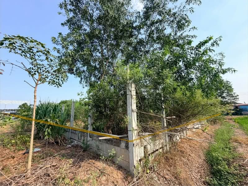 ที่ดินเปล่า ซอยคลองห้าตะวันตก 34 ถนนกาญจนาภิเษก ต.คลองห้า อ.คลองหลวง จ.ปทูมธานี, ปทุมธานี, รังสิต นครนายก เลียบคลองห้า, คลองห้า, คลองหลวง, ปทุมธานี, 1,660 ตร.ม., ที่ดิน ขาย, โดย ภัทรนัน อิศรางกูร ณ อยุธยา, 500168904 - DDproperty.com