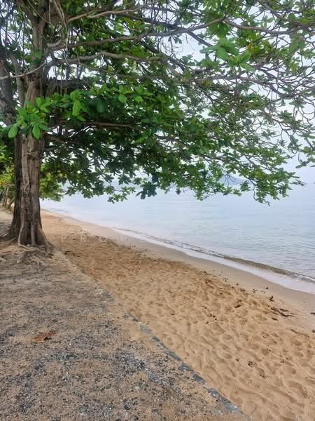Beachfront hotel for sale in a prime location in the Sattahip area., Chon Buri (Pattaya), Sattahip, Sattahip, Chon Buri (Pattaya), , 1,704 sqm, Business For Sale, by A House Property Co.,Ltd., 500168907 - DDproperty.com