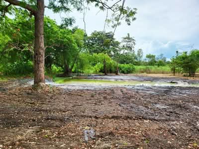 ขาย - ที่ดินบ้านฉาง ระยอง, ระยอง