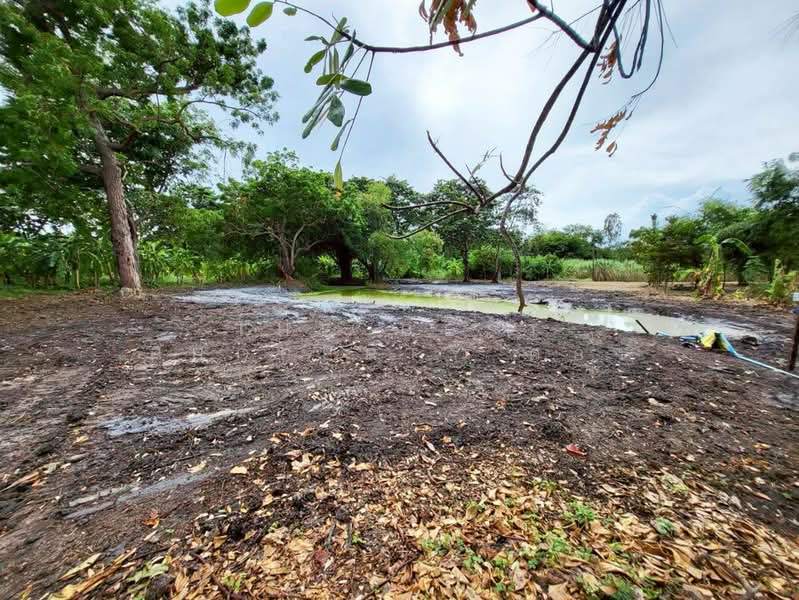 ที่ดินบ้านฉาง ระยอง, Rayong, Ban Zhang, Ban Chang, Rayong, , 1,804 sqm, Land For Sale, by The Best Property ตอง, 500168912 - DDproperty.com