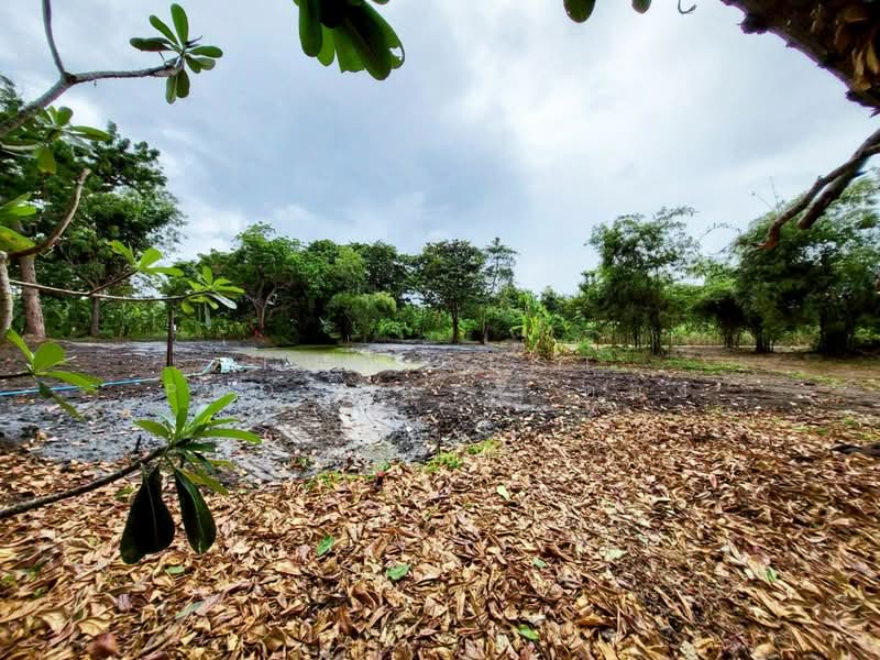 ที่ดินบ้านฉาง ระยอง, Rayong, Ban Zhang, Ban Chang, Rayong, , 1,804 sqm, Land For Sale, by The Best Property ตอง, 500168912 - DDproperty.com