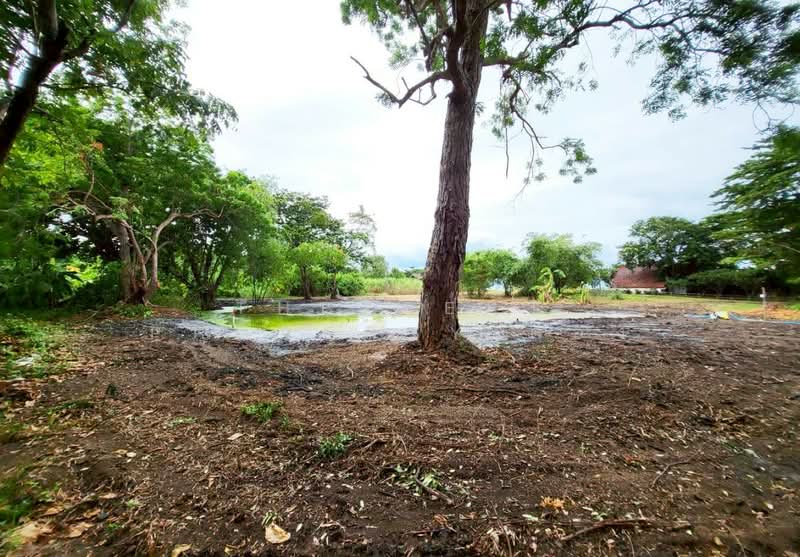 ที่ดินบ้านฉาง ระยอง, Rayong, Ban Zhang, Ban Chang, Rayong, , 1,804 sqm, Land For Sale, by The Best Property ตอง, 500168912 - DDproperty.com