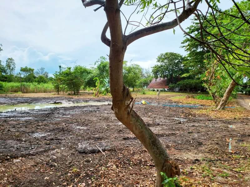 ที่ดินบ้านฉาง ระยอง, Rayong, Ban Zhang, Ban Chang, Rayong, , 1,804 sqm, Land For Sale, by The Best Property ตอง, 500168912 - DDproperty.com