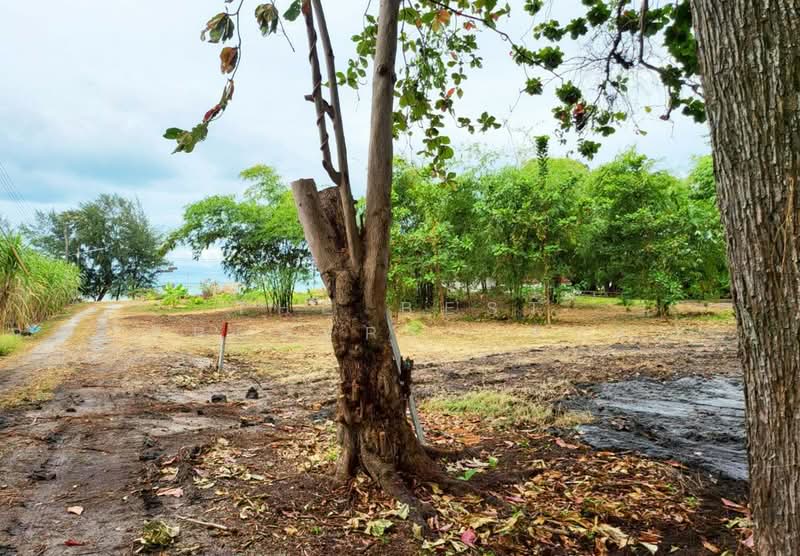 ที่ดินบ้านฉาง ระยอง, Rayong, Ban Zhang, Ban Chang, Rayong, , 1,804 sqm, Land For Sale, by The Best Property ตอง, 500168912 - DDproperty.com