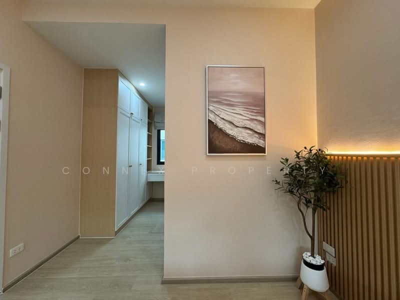 PLEX Onnut - Wongwaen, Bangkok, Sukhaphiban 2 Road, Dok Mai, Prawet, Bangkok, 3 Bedrooms, 150 sqm, Townhouse For Rent, by Connex Property, 500168936 - DDproperty.com