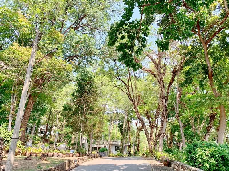 ขาย - Hinsuay Namsai Resort Hotel : หินสวย น้ำใส รีสอร์ท โฮเทล, ระยอง