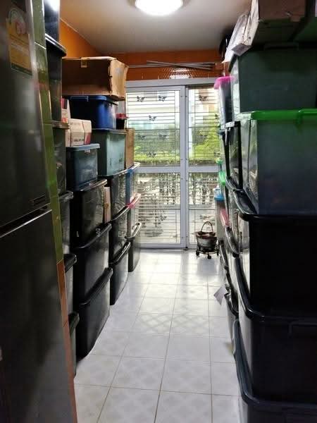 เดอะแกลลอรี่ พุทธมณฑลสาย4, Nakhon Pathom, Krathum Lom, Sam Phran, Nakhon Pathom, 4 Bedrooms, 215 sqm, Single Detached House For Sale, by เรียลตี้ วัน, 500169091 - DDproperty.com