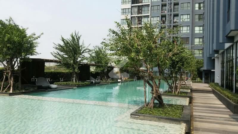 The Base Rama 9-Ramkhamhaeng, Bangkok, 3 Ramkhamhaeng Road, Hua Mak, Bang Kapi, Bangkok, 1 Bedroom, 26 sqm, Condo For Rent, by กำพนธ์ อัศวศิริวิลาศ, 500169111 - DDproperty.com