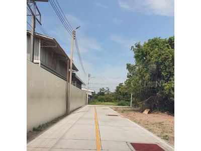 ขาย - ขายที่ดินหนองรี 10 ไร่ ซอยหนองรี-ท้องคุ้งซอย12 ใกล้ถนนเลี่ยงเมือง365-2กม., ชลบุรี
