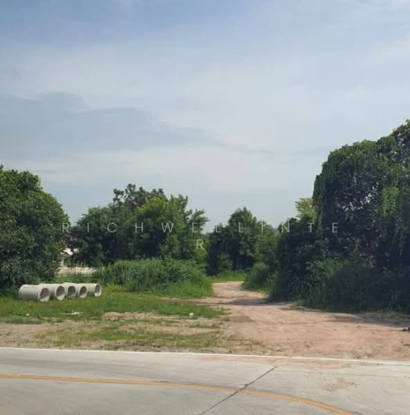 ขายที่ดินหนองรี 10 ไร่ ซอยหนองรี-ท้องคุ้งซอย12 ใกล้ถนนเลี่ยงเมือง365-2กม., ชลบุรี, หนองรี, เมืองชลบุรี, ชลบุรี, 16,980 ตร.ม., ที่ดิน ขาย, โดย richwellinter, 500169224 - DDproperty.com