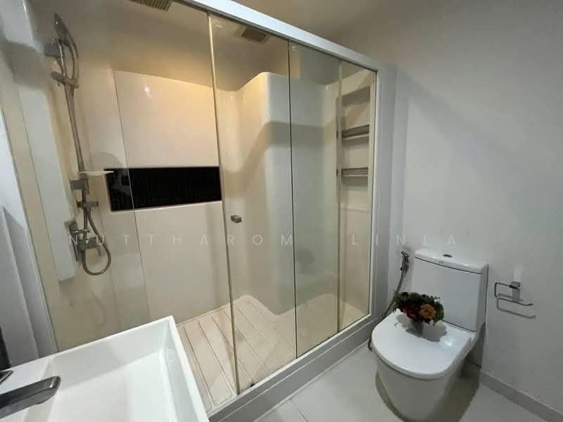 The Room Sukhumvit 62, Bangkok, 2288 Sukhumvit Road, Bang Chak, Phra Khanong, Bangkok, 1 Bedroom, 47 sqm, Condo For Sale, by Nuttharom Linla , 500169293 - DDproperty.com