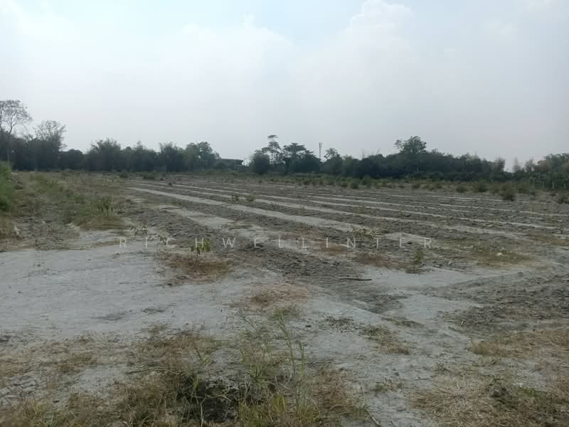 ขายที่ดินหนองตำลึง 6 ไร่ หลังดูโฮมซอยหนองตำลึง-เขานกยูง อ.พานทอง, ชลบุรี, หนองตำลึง, พานทอง, ชลบุรี, 9,964 ตร.ม., ที่ดิน ขาย, โดย richwellinter, 500169326 - DDproperty.com