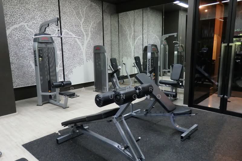 Noble Reveal, Bangkok, 36 Soi Sukhumvit 63, Ekamai Road, Phra Kanong Nua, Watthana, Bangkok, 1 Bedroom, 49 sqm, Condo For Rent, by Pattaporn Yongsungnone, 500169373 - DDproperty.com