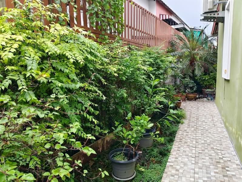 Nirun Avenue Ramkhamhaeng : นิรันดร์ อเวนิว รามคำแหง, กรุงเทพ, ถนนรามคำแหง ซอยรามแหง 174, มีนบุรี, มีนบุรี, กรุงเทพ, 170 ตร.ม., ทาวน์เฮ้าส์ ขาย, โดย คุณ ปั่น อินทะอุ่นวงศ์ (ปั่น), 500169435 - DDproperty.com