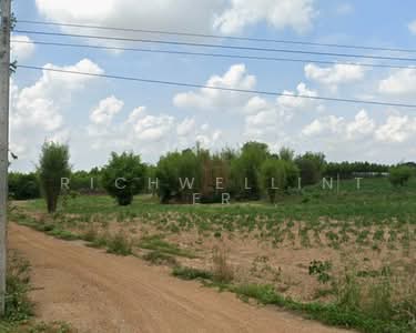 ขาย - ขายที่ดินนาวังหิน 3 ไร่ ทำเลดีติดถนน2ด้าน ใกล้ถนนเส้น331-500เมตร อ.พนัสนิคม, ชลบุรี