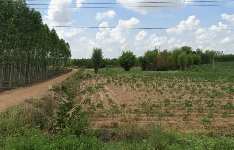 For Sale - Land for sale in Nawanghin, 3 rai, with road frontage on two sides, 500 meters, Chon Buri (Pattaya)