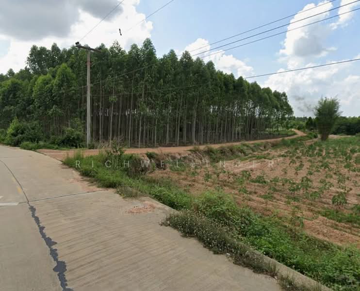 For Sale - Land for sale in Nawanghin, 3 rai, with road frontage on two sides, 500 meters, Chon Buri (Pattaya)
