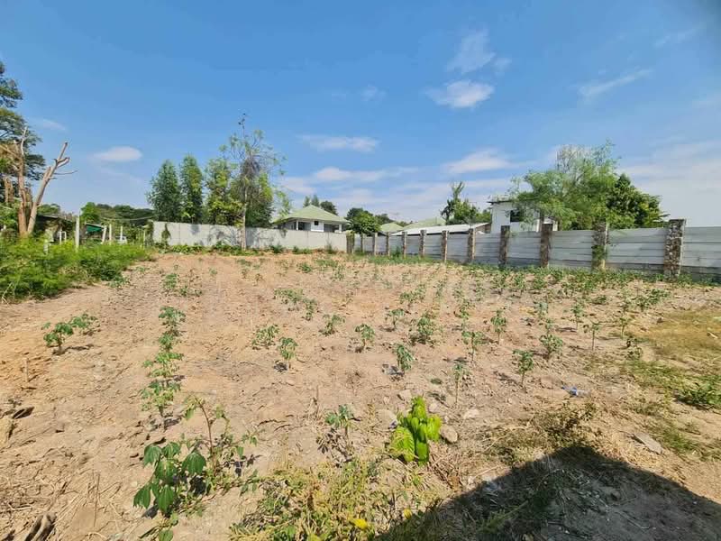 ขายที่ดินฝั่งทะเล บางละมุงเนื้อที่ 5 ไร่ ซ.สุขุมวิท-บางละมุง31 อ.บางละมุง, ชลบุรี, บางละมุง, บางละมุง, ชลบุรี, 8,416 ตร.ม., ที่ดิน ขาย, โดย richwellinter, 500169667 - DDproperty.com