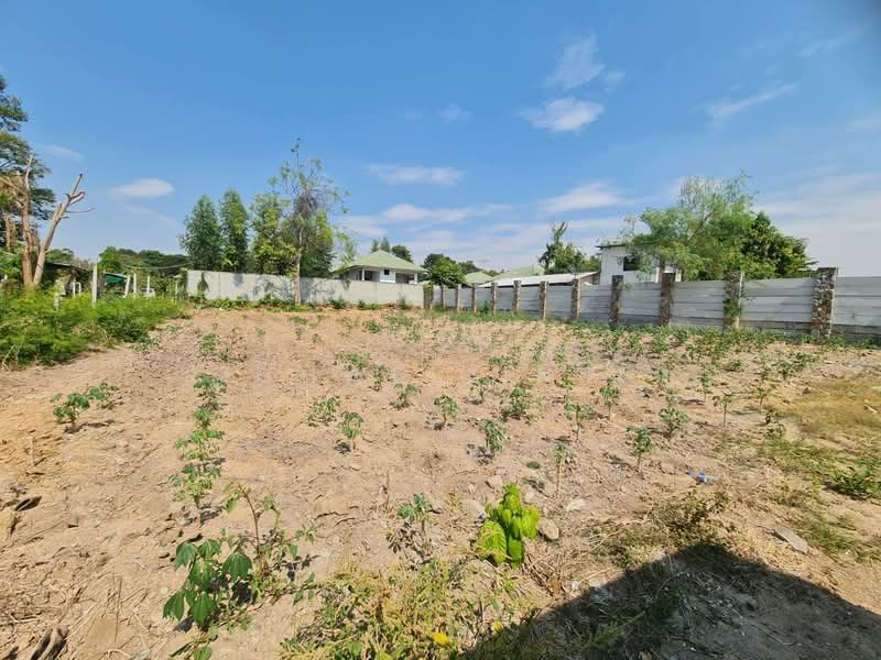 ขายที่ดินฝั่งทะเล บางละมุงเนื้อที่ 5 ไร่ ซ.สุขุมวิท-บางละมุง31 อ.บางละมุง, ชลบุรี, บางละมุง, บางละมุง, ชลบุรี, 8,416 ตร.ม., ที่ดิน ขาย, โดย richwellinter, 500169667 - DDproperty.com