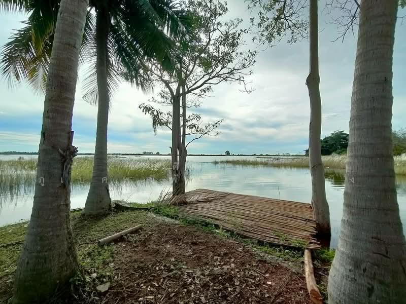 ขาย - ขายที่ดินจัดสรรโครงการบ้านเนินน้ำ ขนาด 81 ตร.ว วิวอ่างเก็บน้ำ วิวภูเขา ใกล้ชิดธรรมชาติ ตะเคียนเตี้ย, ชลบุรี