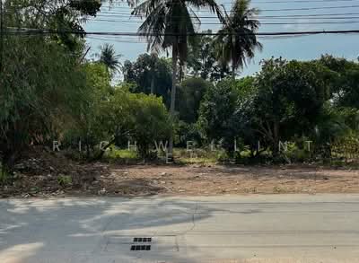 ขาย - ขายที่ดินสุรศักดิ์ 200 ตรว. ถมแล้วซ.เนินสวัสดิ์ใกล้ท่าเรือแหลมฉบัง-8กม. อ.ศรีราชา, ชลบุรี