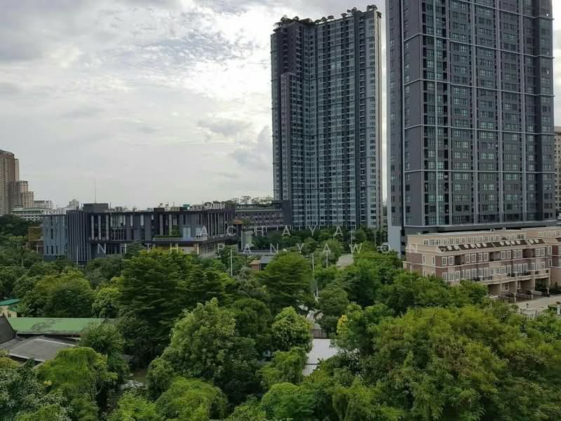 Hasu Haus, Bangkok, Sukhumvit 77 Road, Phra Kanong Nua, Watthana, Bangkok, 1 Bedroom, 37 sqm, Condo For Rent, by Achaya Nithipanyawong, 500169922 - DDproperty.com