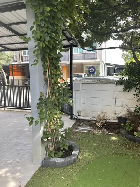 Areeya Daily Kaset-Nawamintr, Bangkok, Ladplakhao Road, Chorake Bua, Lat Phrao, Bangkok, 3 Bedrooms, 160 sqm, Townhouse For Sale, by Jakkrit Nilchoo, 500169927 - DDproperty.com