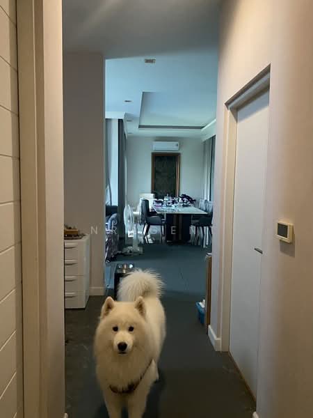 VENUE Westgate : เวนิว เวสต์เกต, นนทบุรี, ถนน สายบึงบัว-คลองประปา, บางแม่นาง, บางใหญ่, นนทบุรี, 302 ตร.ม., บ้านเดี่ยว ขาย, โดย NRagent, 500169986 - DDproperty.com