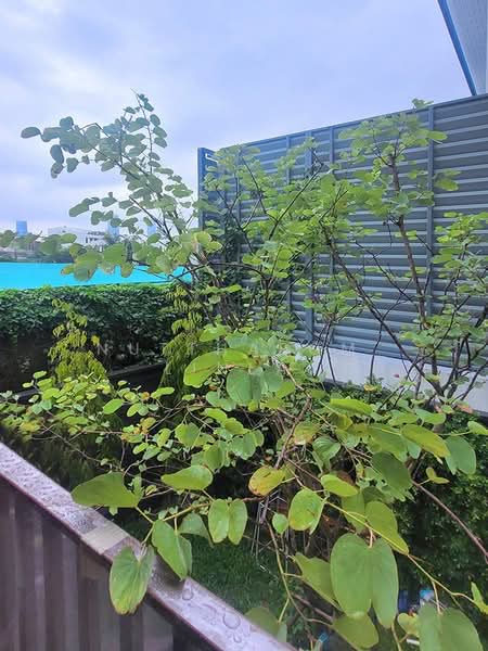 Quintara MHy’ZEN Phrom Phong, Bangkok, Khlong Tan Nua, Watthana, Bangkok, 2 Bedrooms, 36 sqm, Condo For Sale, by Nuttharom  Linla , 500170244 - DDproperty.com