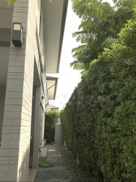 The Palm Pattanakarn : เดอะ ปาล์ม พัฒนาการ, กรุงเทพ, ถนนพัฒนาการ, สวนหลวง, สวนหลวง, กรุงเทพ, 225 ตร.ม., บ้านเดี่ยว ให้เช่า, โดย Phitchaporn Buamag, 500170405 - DDproperty.com