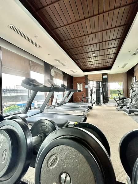 Centric Scene Sukhumvit 64, Bangkok, - Soi Sukhumvit 64, Bang Na, Bang Na, Bangkok, 1 Bedroom, 42 sqm, Condo For Rent, by Natlyn Kongsapook, 500170676 - DDproperty.com