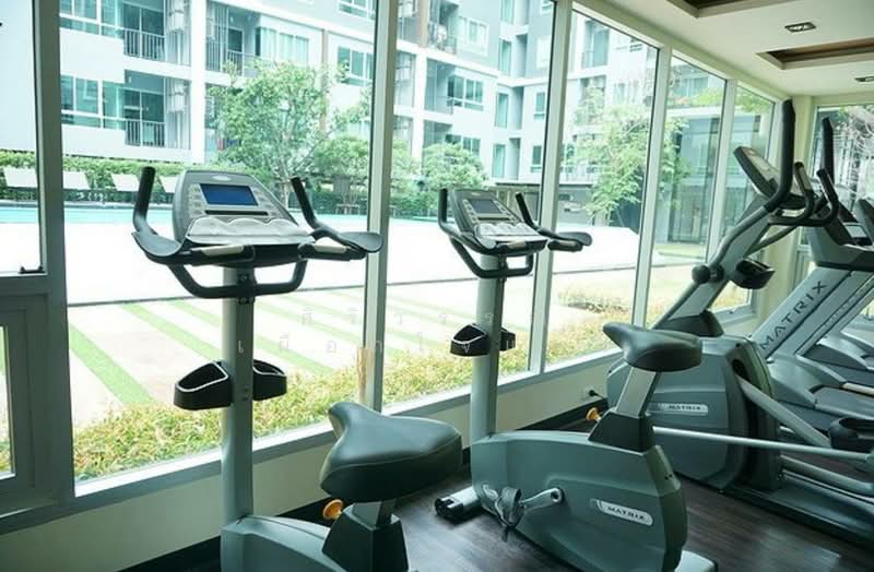 Hallmark Chaengwattana, Nonthaburi, Chaengwattana Road, Pak Kret, Pak Kret, Nonthaburi, 1 Bedroom, 29 sqm, Condo For Rent, by ศิริวรรณ เผือกใจแผ้ว, 500170904 - DDproperty.com