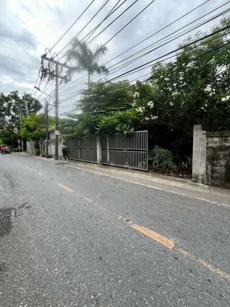 ขายที่ดิน แปลงสวย” ทำเลเยี่ยม ราคาดี, Nonthaburi, Bang Kra So, Muang Nonthaburi, Nonthaburi, , 684 sqm, Land For Sale, by Peeworakorn (Narm) Kewalin, 500171047 - DDproperty.com