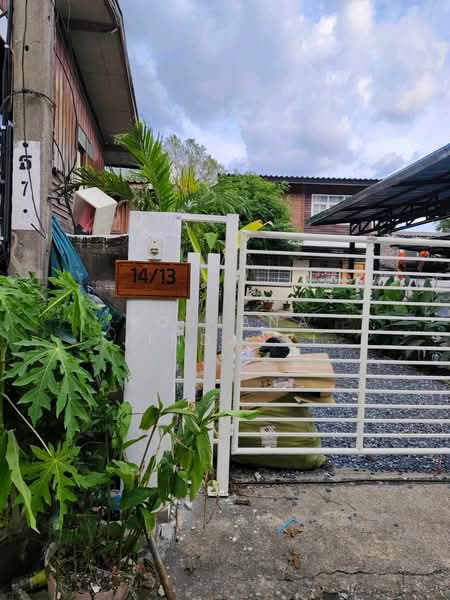 บ้าน 2-ห้องนอน, กรุงเทพ, ตลิ่งชัน, ตลิ่งชัน, กรุงเทพ, 340 ตร.ม., บ้านเดี่ยว ให้เช่า, โดย Rojjana Jindasri, 500171067 - DDproperty.com