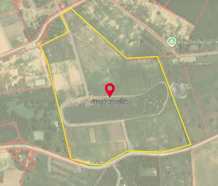Land for sale in Bo Kwang Thong, 81 rai, with road frontage on two sides, 2 km from Highway 3340,, Chon Buri (Pattaya), Bo Kwang Thong, Bo Thong, Chon Buri (Pattaya), , 131,240 sqm, Land For Sale, by richwellinter, 500171329 - DDproperty.com