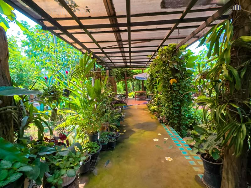 ลงทุนทำรีสอร์ทติดแม่น้ำ! แปลงนี้ครบจบ!! ขายที่ดิน ครุฑแดง พร้อมสิ่งปลูกสร้าง บนพื้นที่กว่า 15 ไร่, กาญจนบุรี, ถนนทางหลวงชนบทกาญจนบุรี 4018 (6018), ลุ่มสุ่ม, ไทรโยค, กาญจนบุรี, 24,000 ตร.ม., ที่ดิน ขาย, โดย คุณจี, 500171341 - DDproperty.com