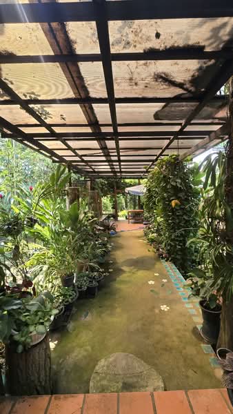 ลงทุนทำรีสอร์ทติดแม่น้ำ! แปลงนี้ครบจบ!! ขายที่ดิน ครุฑแดง พร้อมสิ่งปลูกสร้าง บนพื้นที่กว่า 15 ไร่, กาญจนบุรี, ถนนทางหลวงชนบทกาญจนบุรี 4018 (6018), ลุ่มสุ่ม, ไทรโยค, กาญจนบุรี, 24,000 ตร.ม., ที่ดิน ขาย, โดย คุณจี, 500171341 - DDproperty.com